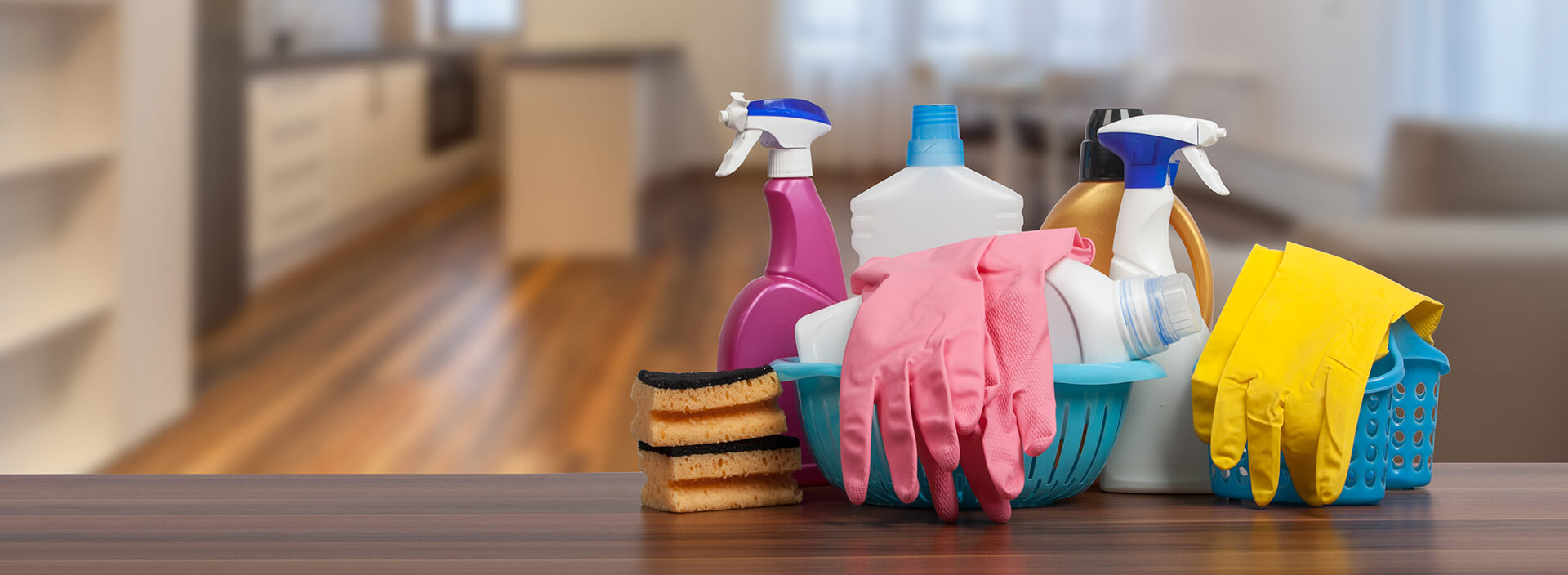 House Cleaning Services